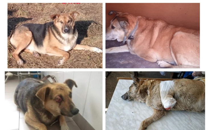 Zbiórka Pomoc dla Diny i Rity - zdjęcie główne