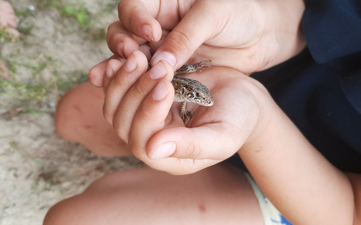 Zbiórka Na dom . Pilnie - zdjęcie główne