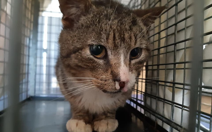 Zbiórka Pomóż nam walczyć - zdjęcie główne