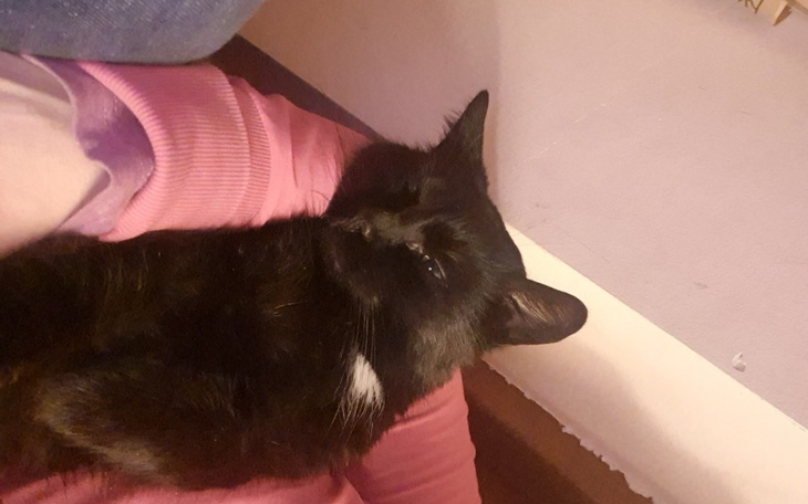 Zbiórka Maniuś - zabieg i badania - zdjęcie główne