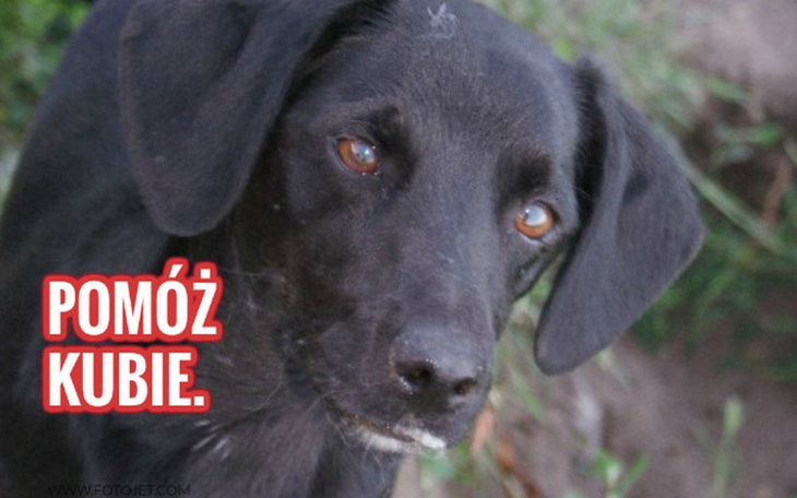 Zbiórka Kuba zbiera na hotel. - zdjęcie główne