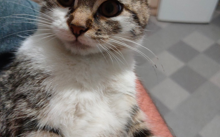 Zbiórka Moje małe marzenie Ps 5 - zdjęcie główne