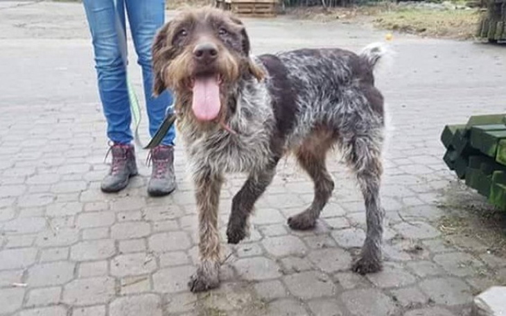 Zbiórka Postawmy Fado na nogi - zdjęcie główne