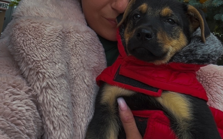 Szczeniak w czerwonym płaszczyku, trzymany przez osobę.