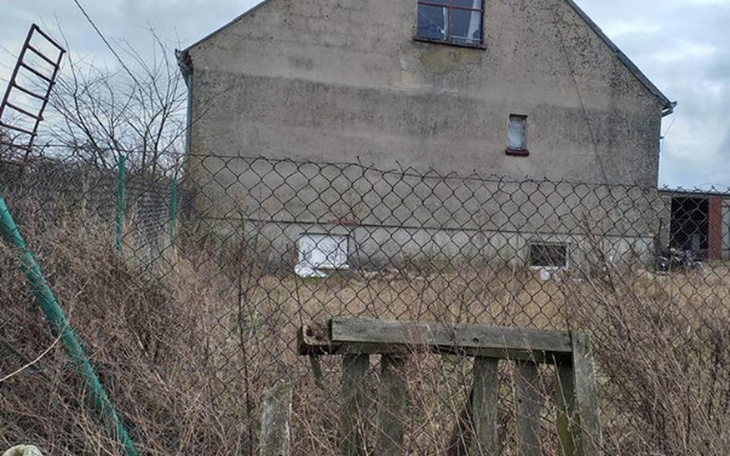 Zbiórka Na kocią woliere - zdjęcie główne