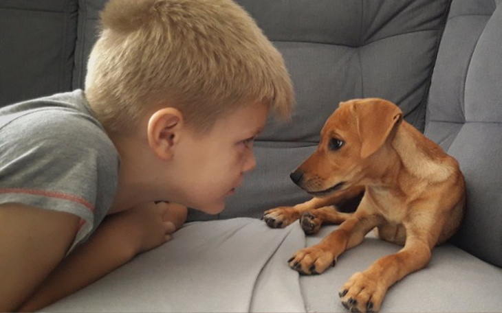 Zbiórka Operacja serduszka Maji!!! - zdjęcie główne