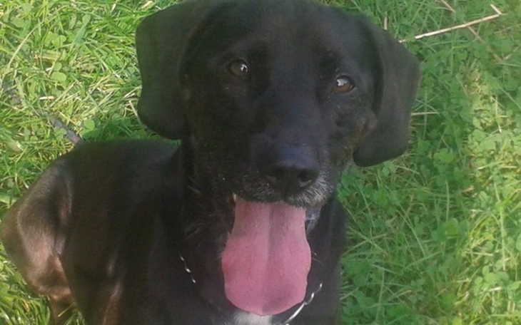 Zbiórka Zakochany w człowieku Tobi! - zdjęcie główne