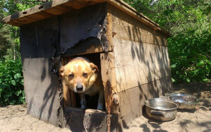 Zbiórka Podarujmy odrobinę wolności - zdjęcie główne