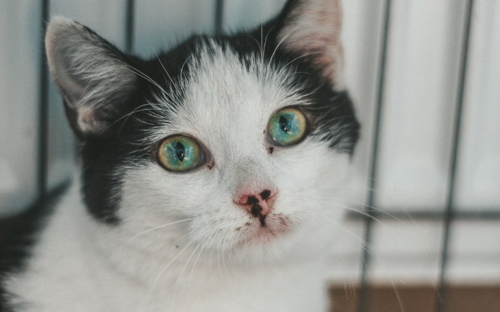 Zbiórka Skarbonka dla Minewry - zdjęcie główne