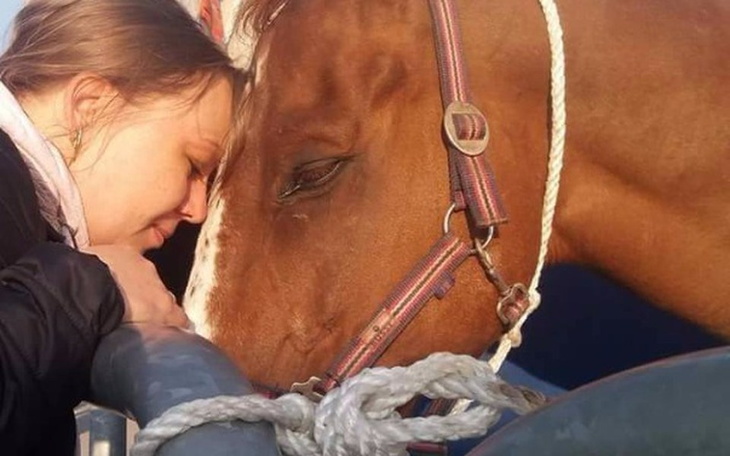 Zbiórka Ratujemy życie konia z targu.... - zdjęcie główne