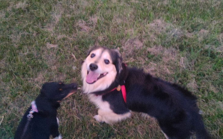 Zbiórka Wyjście na proostą. - zdjęcie główne