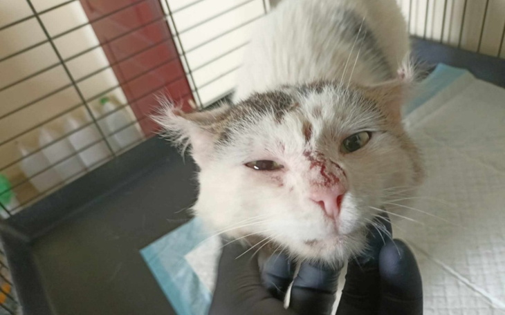 Zbiórka Leczymy skutki bezdomności. - zdjęcie główne