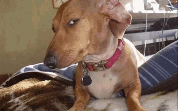 Zbiórka zbiorka nowy mikrofon - zdjęcie główne