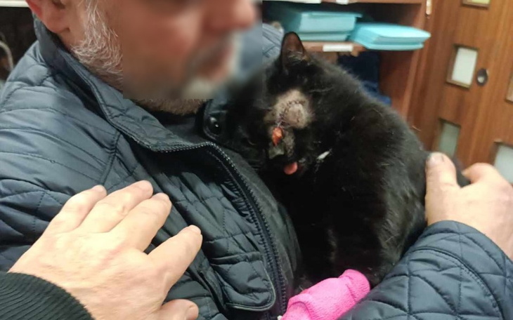 Zbiórka Furiat potrzebuje wsparcia. - zdjęcie główne