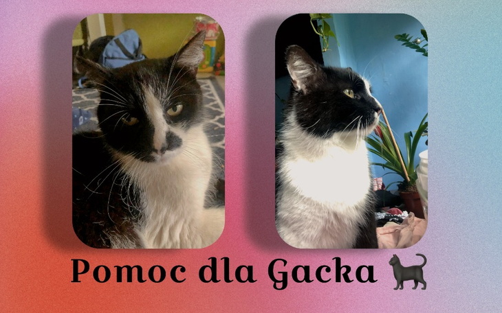 Zbiórka Pomoc dla Gacka - zdjęcie główne
