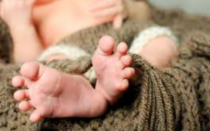 Zbiórka Inseminacja - zdjęcie główne