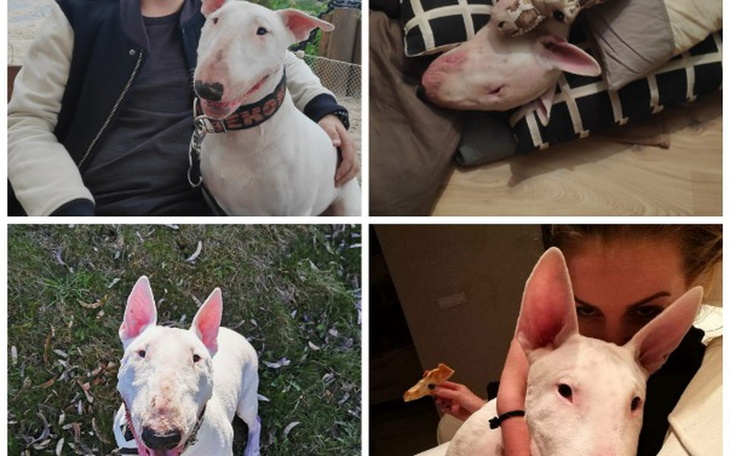 Zbiórka BEKON junior - zdjęcie główne