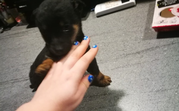 Zbiórka Na operację! - zdjęcie główne