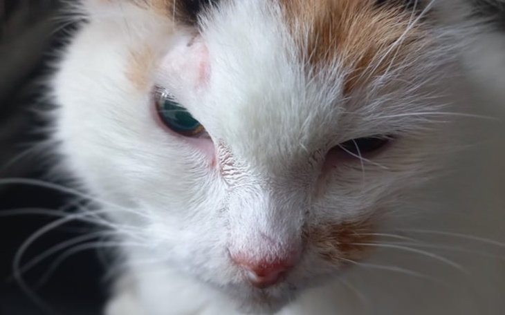 Zbiórka Tomograf komputerowy - zdjęcie główne