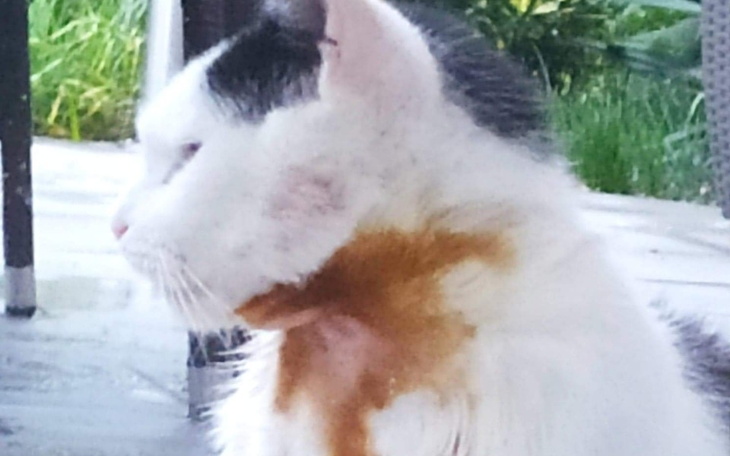 Zbiórka Bezdomność rodzi się z domności. - zdjęcie główne