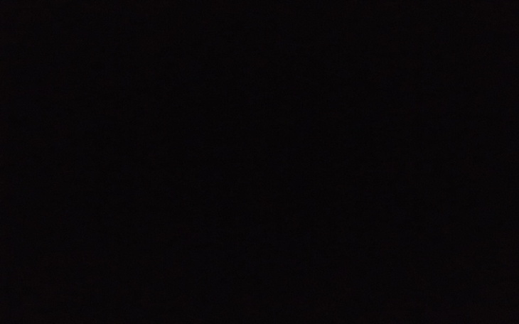 Zbiórka Na leczenie szczurków - zdjęcie główne