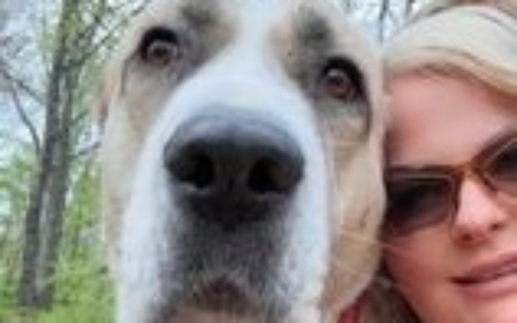 Zbiórka Diagnostyka i leczenie suni - zdjęcie główne