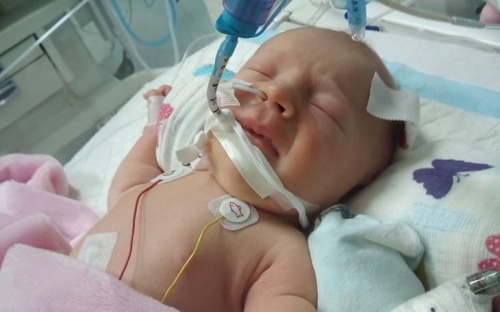 Zbiórka Wymarzone łóżeczko księżniczki - zdjęcie główne