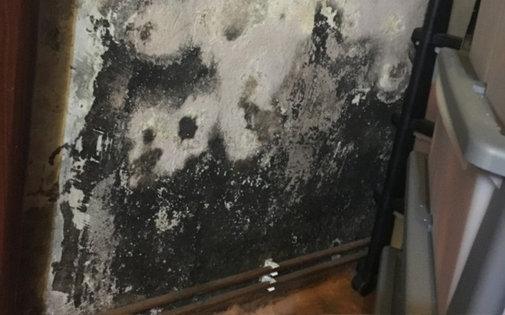 Zbiórka Remont ścian i podłóg w domu! - zdjęcie główne