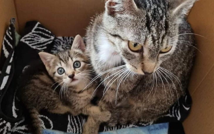 Zbiórka Sezon - okrutne lato... - zdjęcie główne