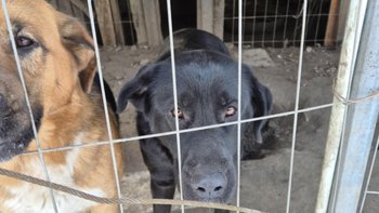 Zbiórka Z mrozu do ciepła - miniaturka zdjęcia