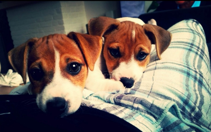 Zbiórka Diesel i Luna - zdjęcie główne