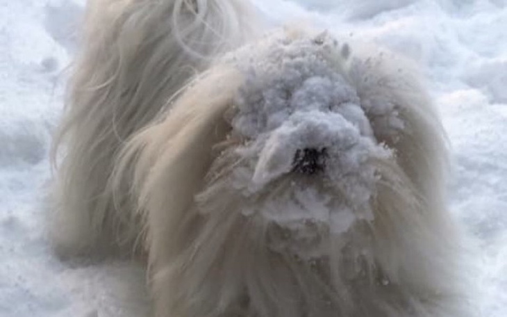 Zbiórka Dla Alusi - zdjęcie główne