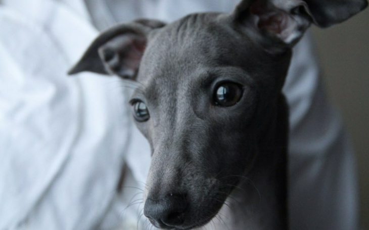 Zbiórka Na pomoc w ucieczce z Ukrainy - zdjęcie główne