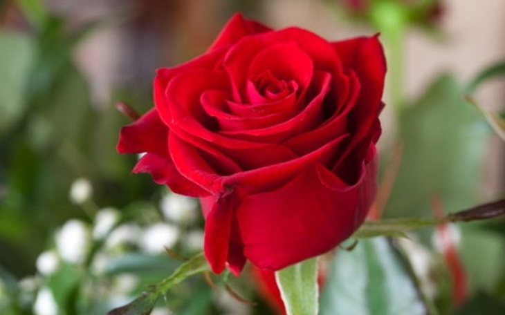 Zbiórka Na walke z rakiem - zdjęcie główne