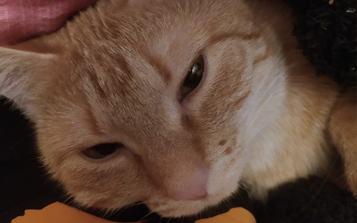 Zbiórka Zbiórka na urodziny przyjaciółki - zdjęcie główne