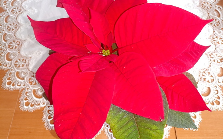 Zbiórka Spłata,aby normalnie żyć. - zdjęcie główne