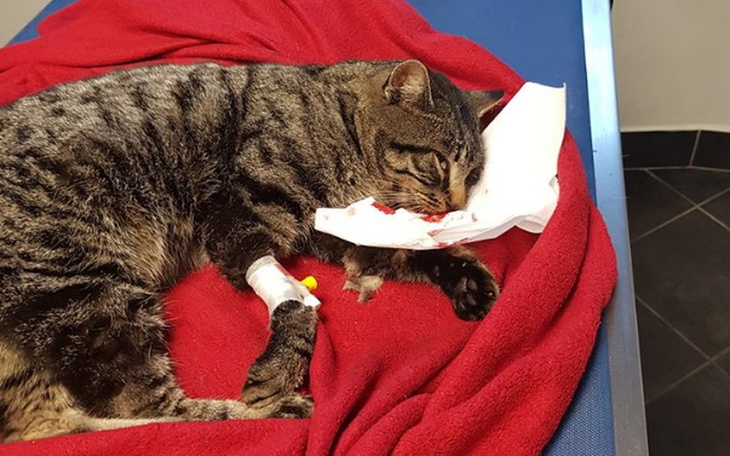 Zbiórka Pozwolili mu umierać na ulicy - zdjęcie główne