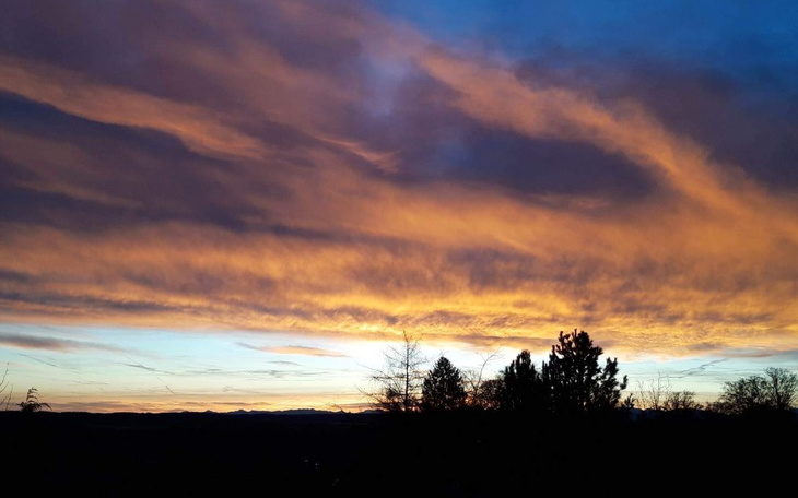 Zbiórka Dzieci Wołynia - zdjęcie główne