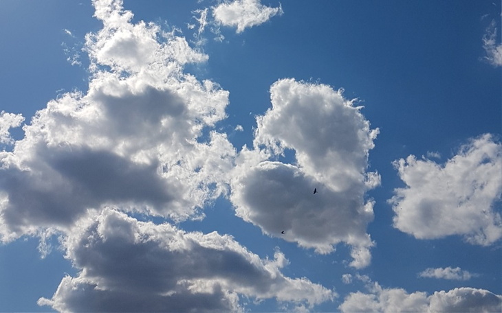 Zbiórka Samotna mama i jej długi POMÓŻMY - zdjęcie główne