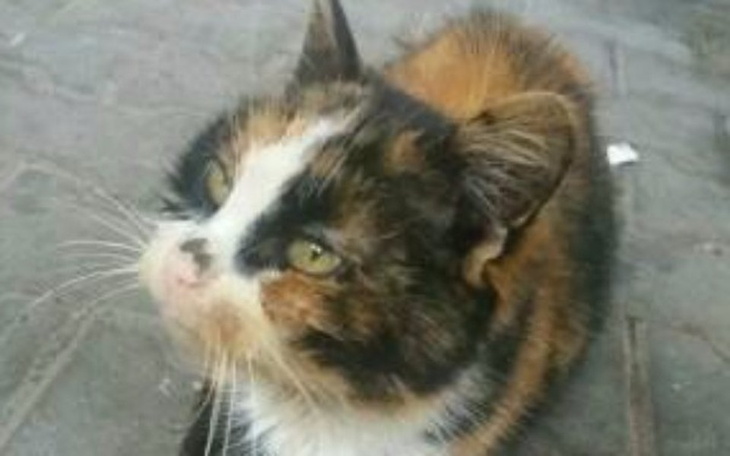 Zbiórka Rudzia - której nikt nie chciał - zdjęcie główne