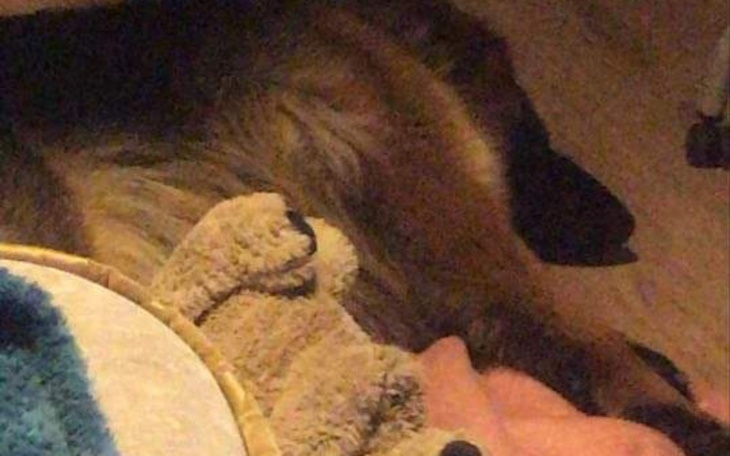 Zbiórka Na łóżko i rehabilitacje - zdjęcie główne