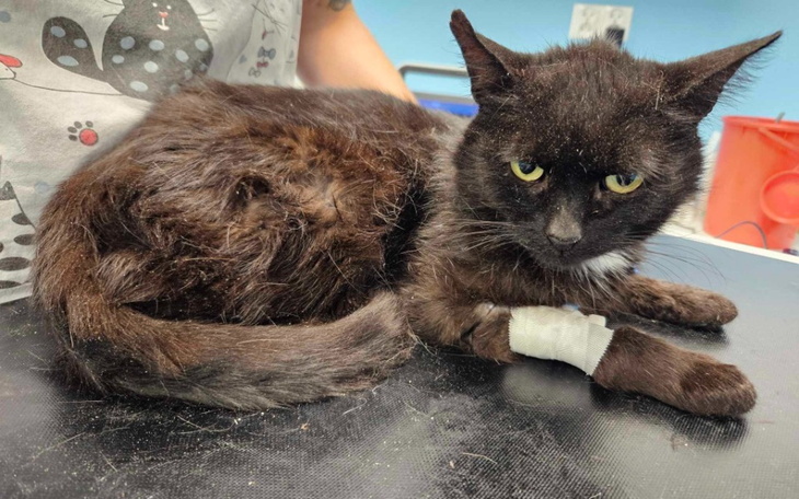 Zbiórka MARS chce żyć - zdjęcie główne