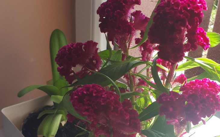 Zbiórka Wycieczka do Ziemi Swietej - zdjęcie główne