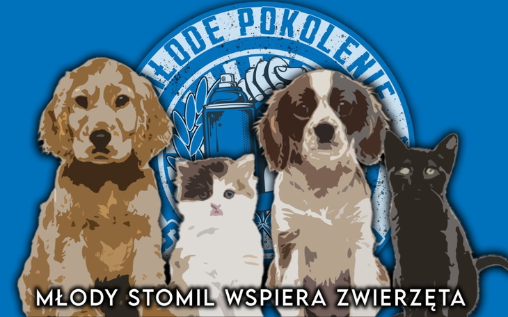 Zbiórka Młody Stomil Wspiera Zwierzęta - zdjęcie główne