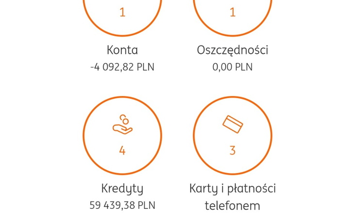 Zbiórka Na spłatę kredytów i nowe życie - zdjęcie główne