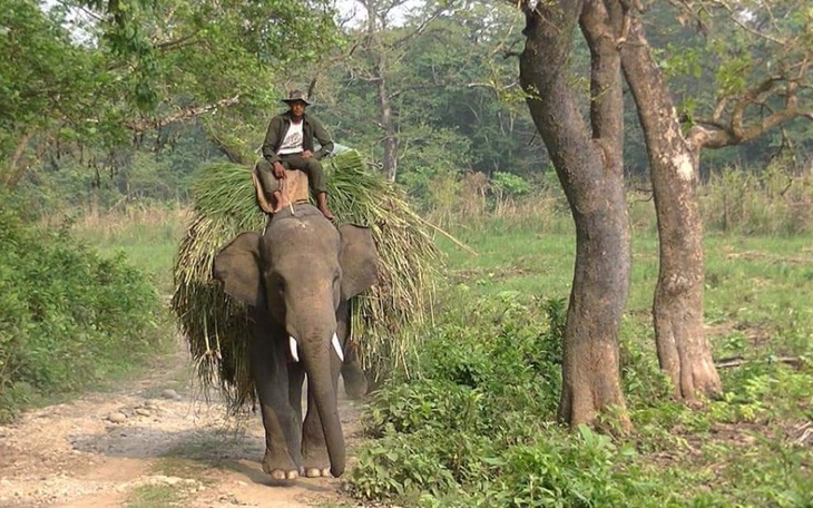 Zbiórka Pomoc dla Przyjaciela z Nepalu - zdjęcie główne