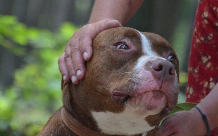 Zbiórka AN - 2022 hotele - zdjęcie główne