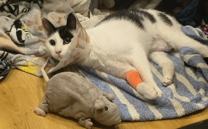 Zbiórka Pomóż Grażynkowi wyzdrowieć - zdjęcie główne