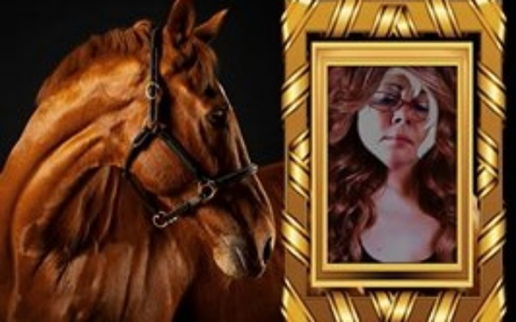 Zbiórka Mieszkanie dla zwierzolubów. - zdjęcie główne