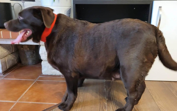 Zbiórka Chcę normalnie chodzić - Kasia - zdjęcie główne